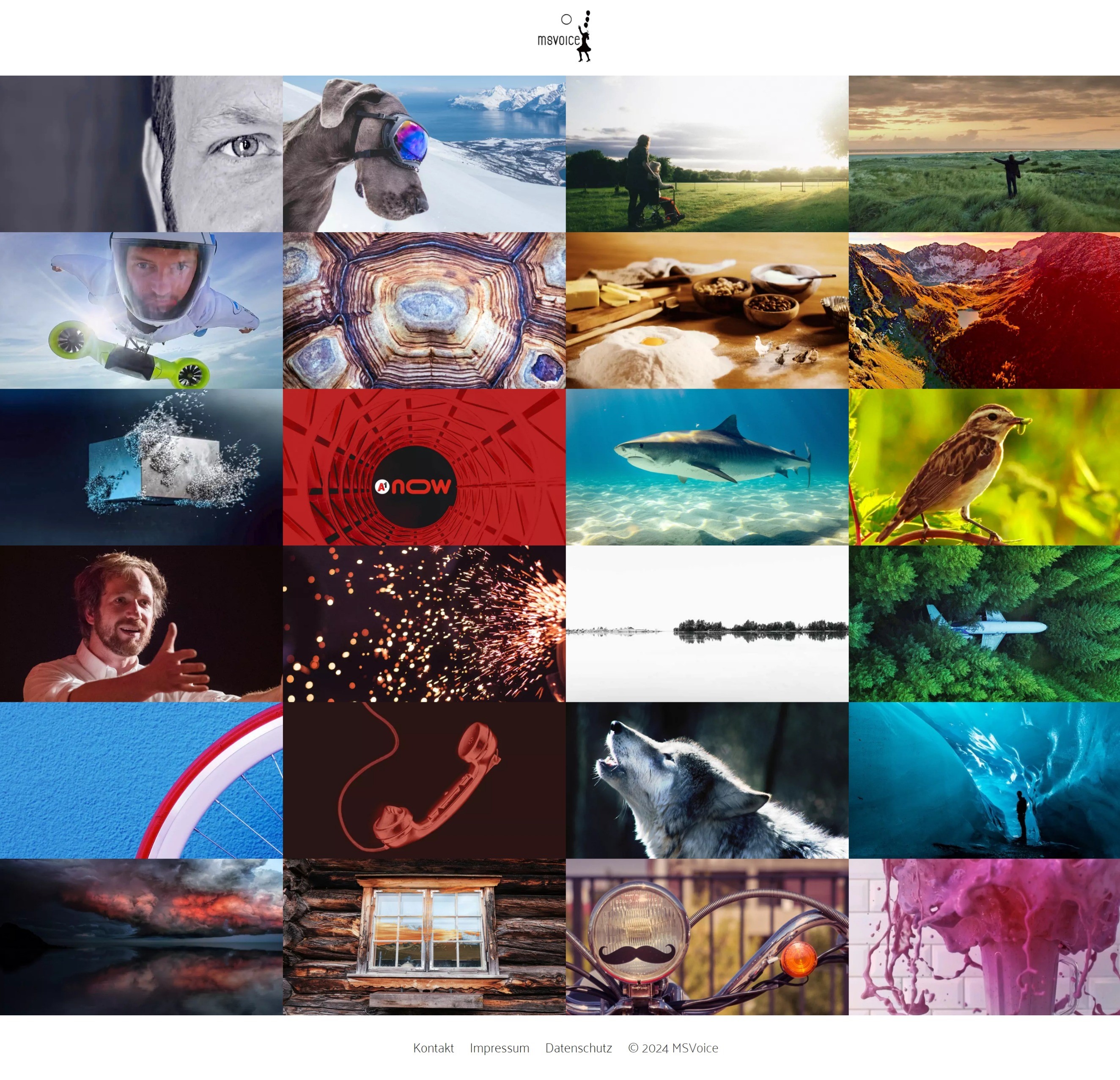 MSVoice – Markus Sulzbacher