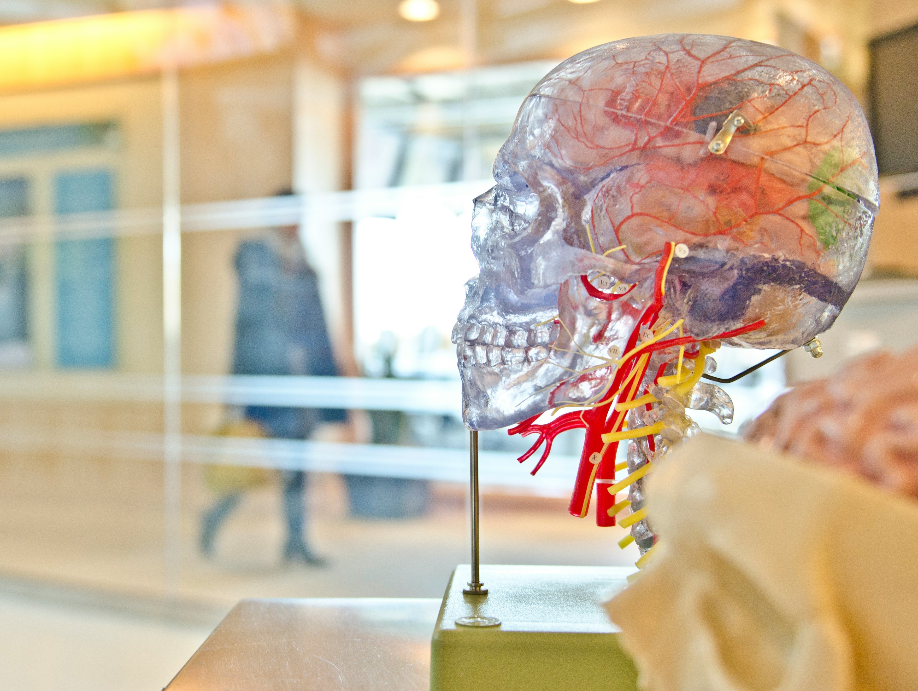 ALVEEG ist ein wissenschaftliches Forschungsprojekt und steht für „Ambulantes Langzeit-Video-EEG für Menschen mit Anfallserkrankungen“